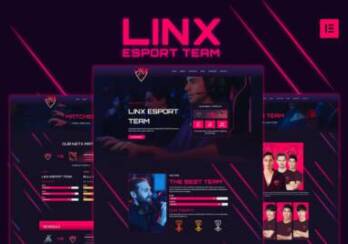 Linx-Esport-Team.jpg
